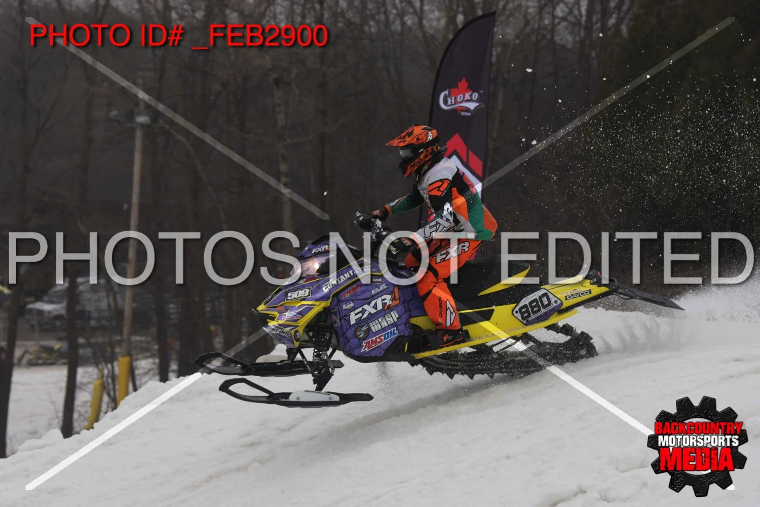 _FEB2900.jpg