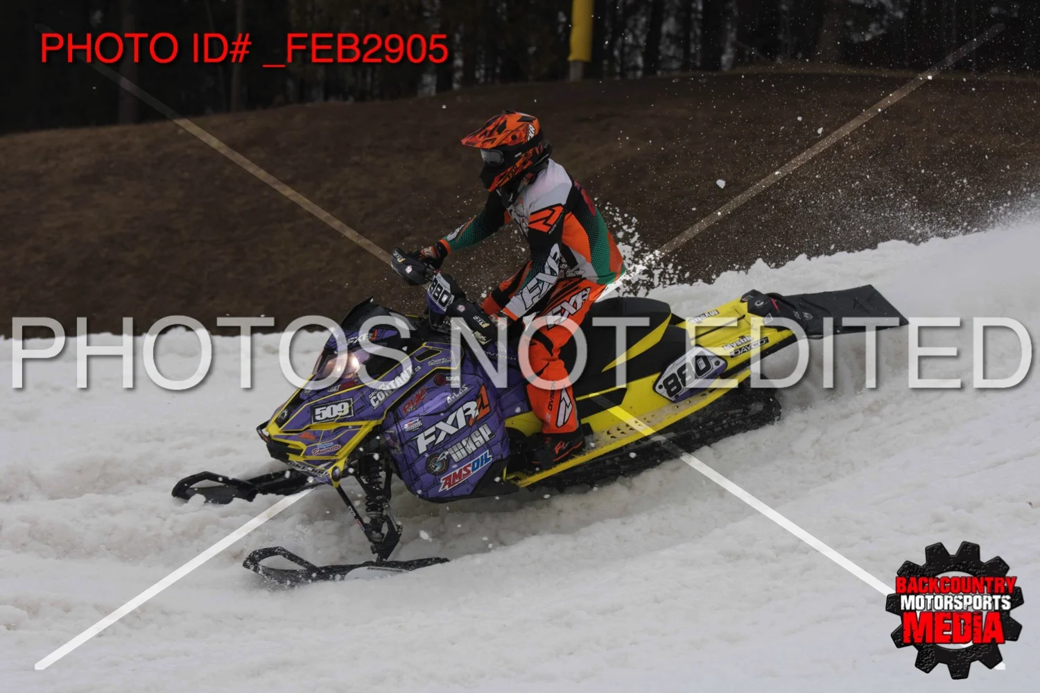 _FEB2905.jpg