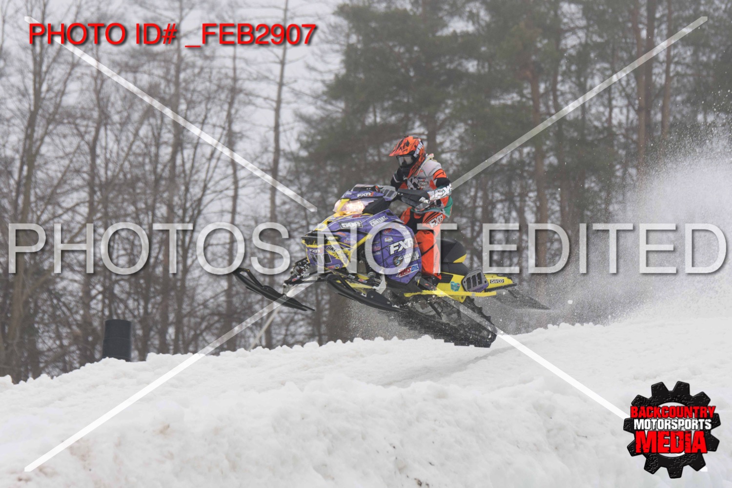 _FEB2907.jpg