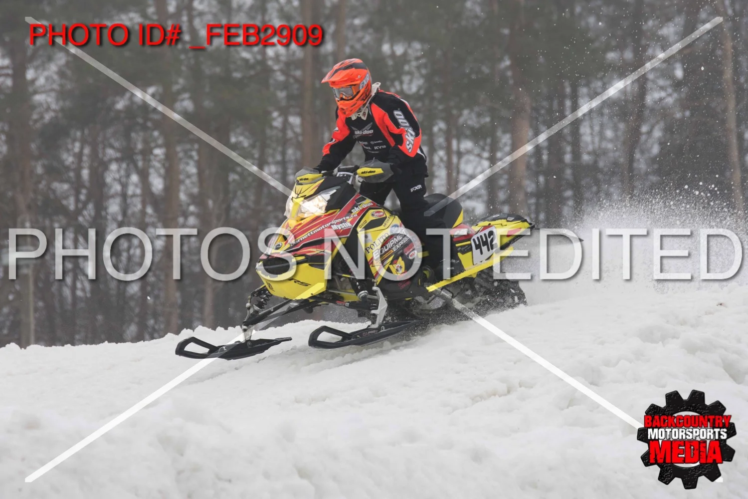 _FEB2909.jpg