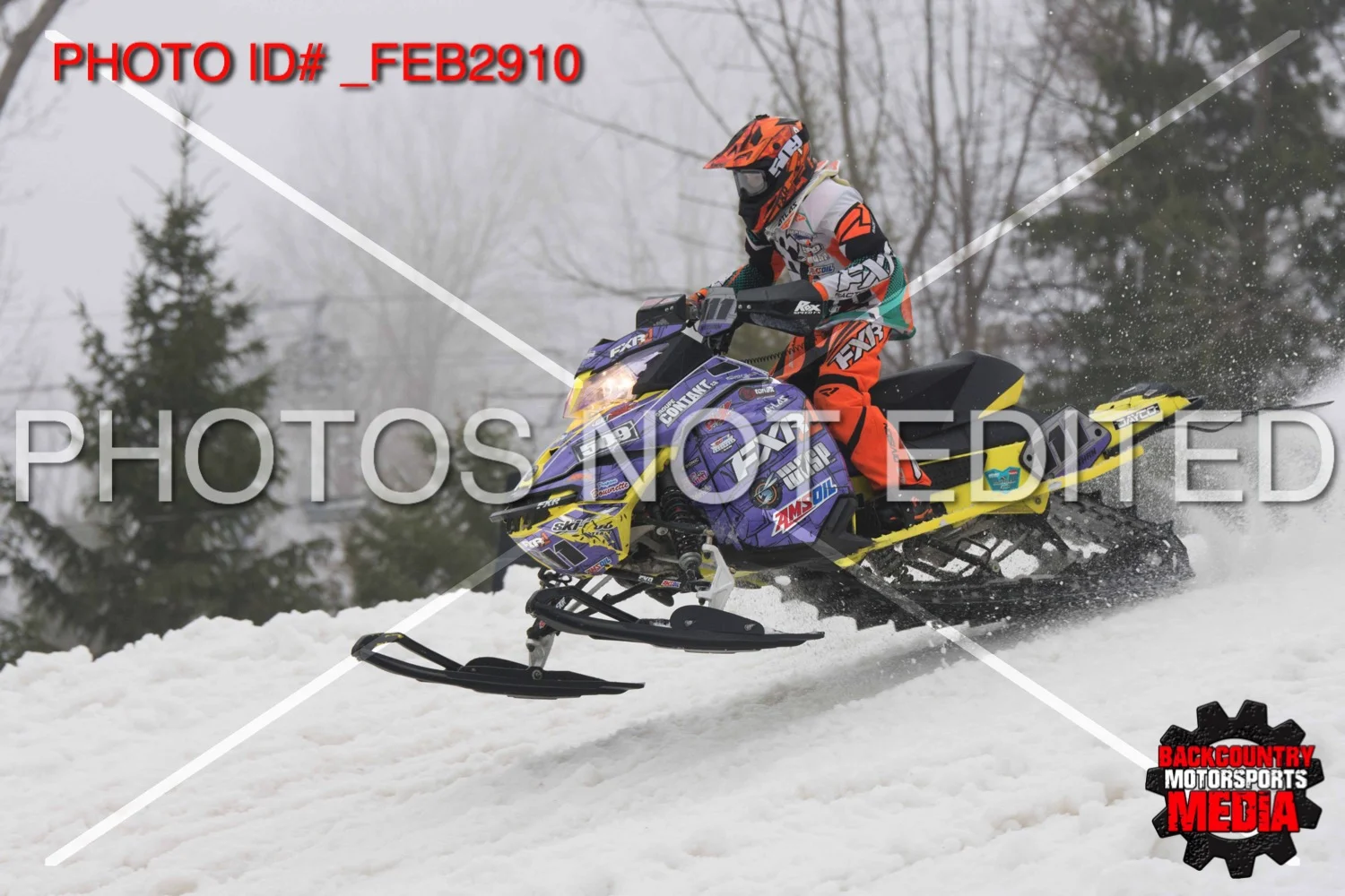 _FEB2910.jpg