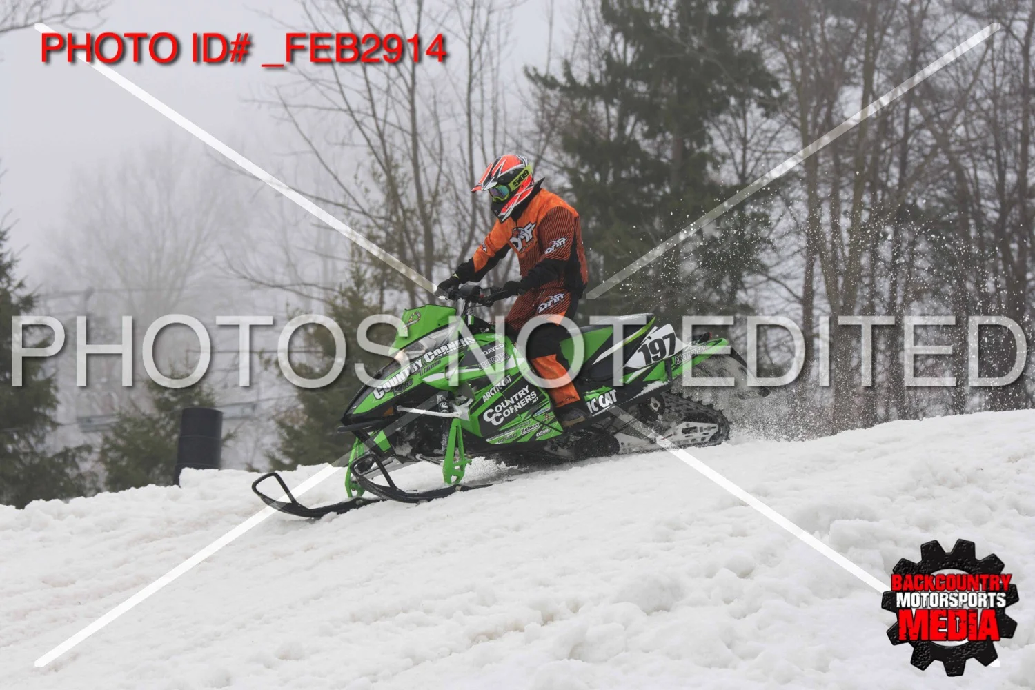 _FEB2914.jpg