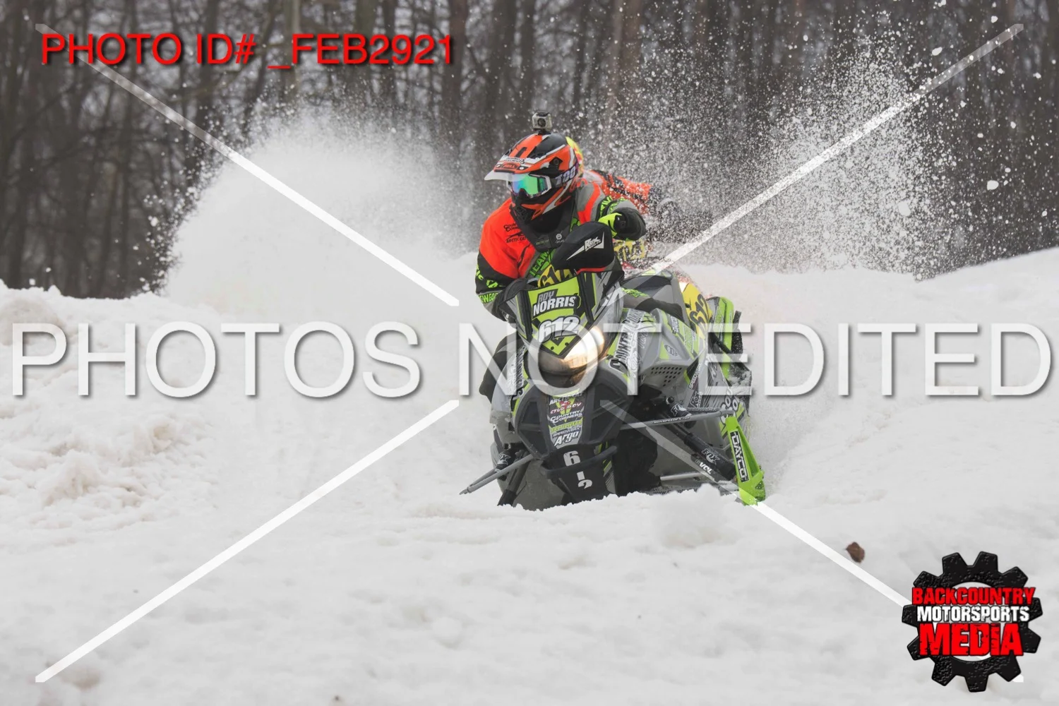 _FEB2921.jpg