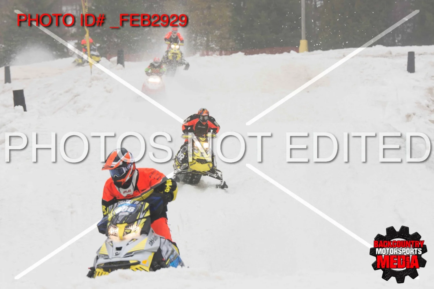 _FEB2929.jpg