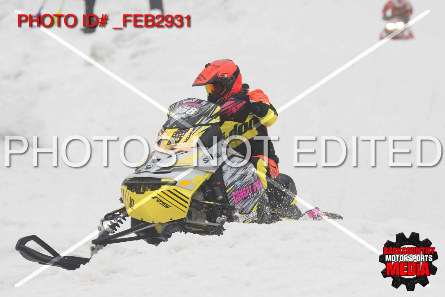 _FEB2931.jpg