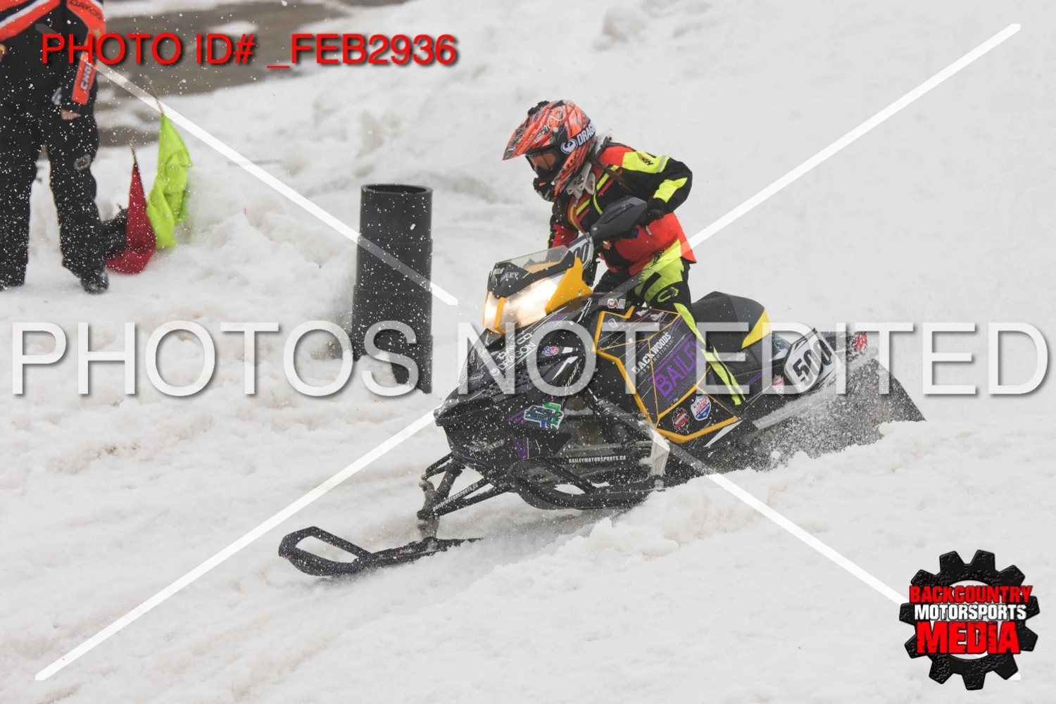_FEB2936.jpg
