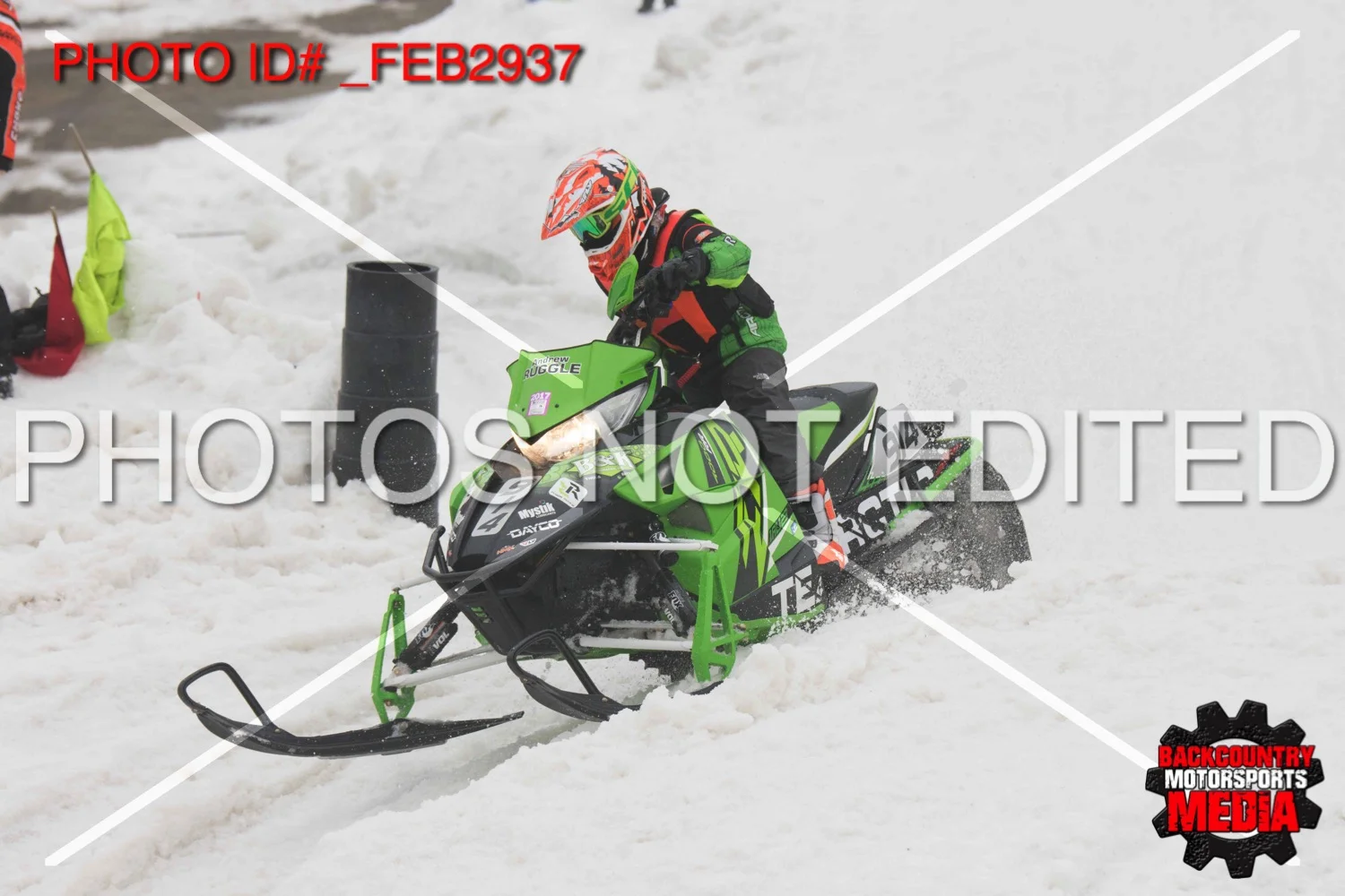 _FEB2937.jpg