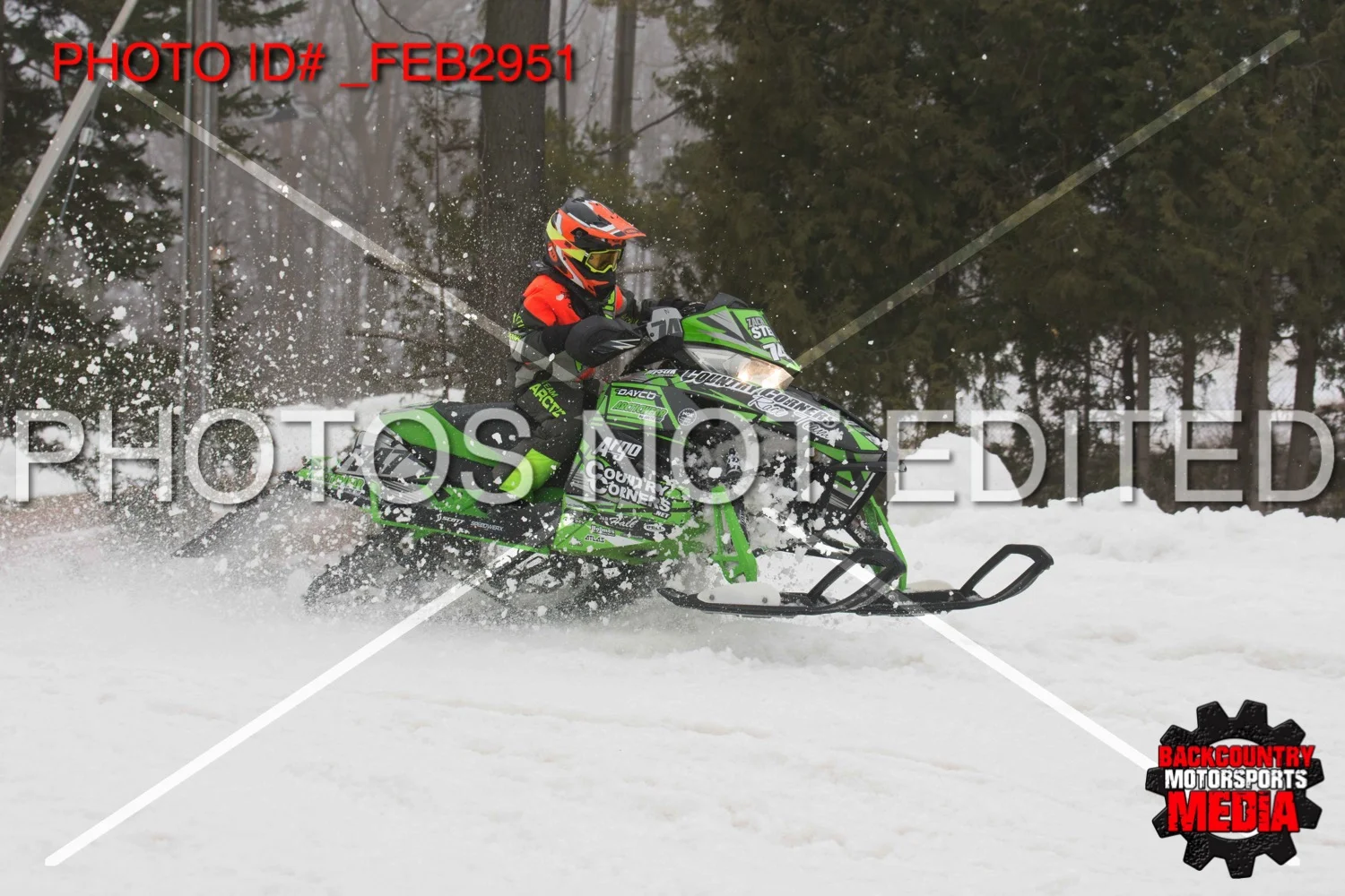 _FEB2951.jpg