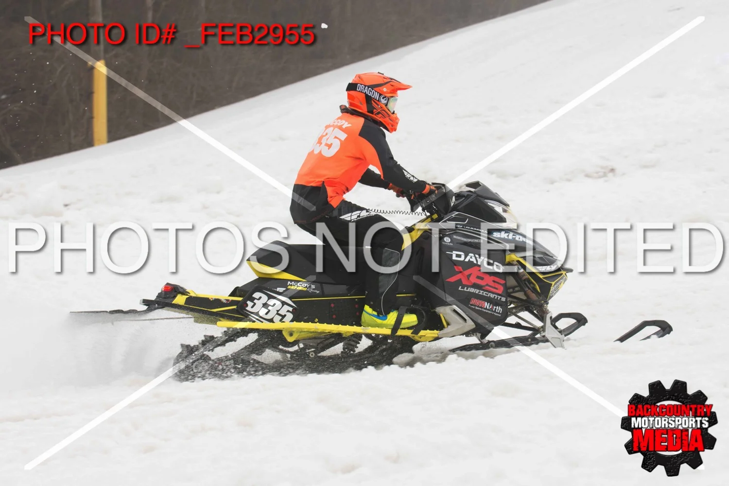 _FEB2955.jpg