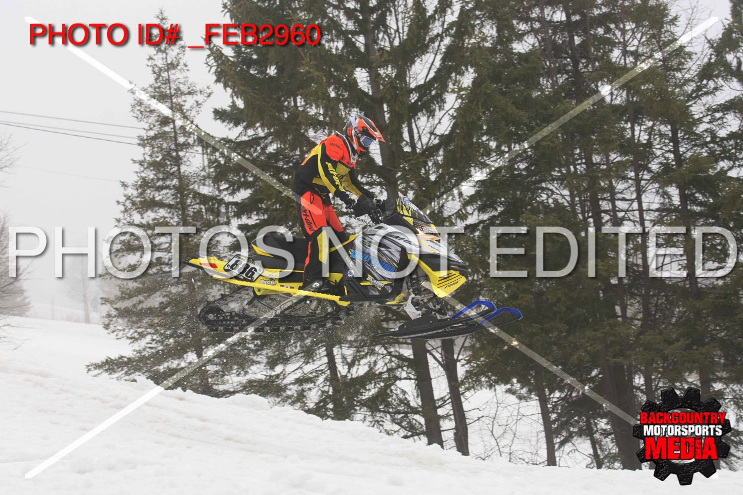 _FEB2960.jpg