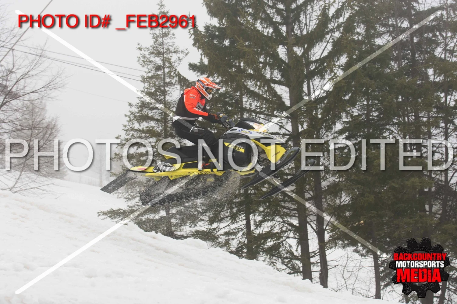 _FEB2961.jpg
