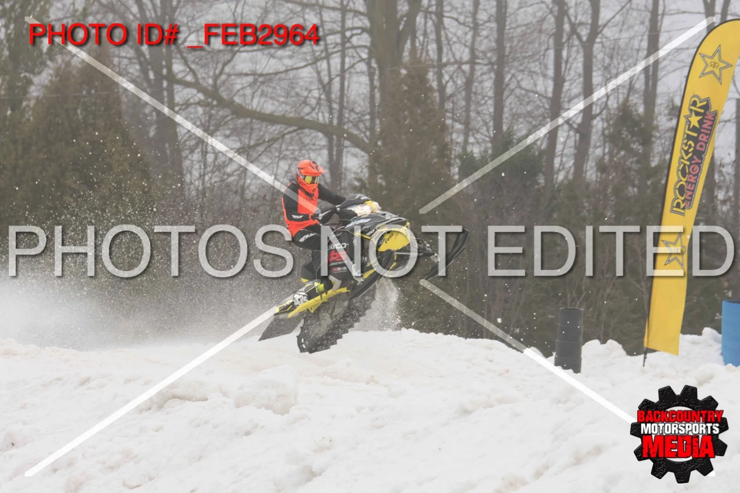 _FEB2964.jpg