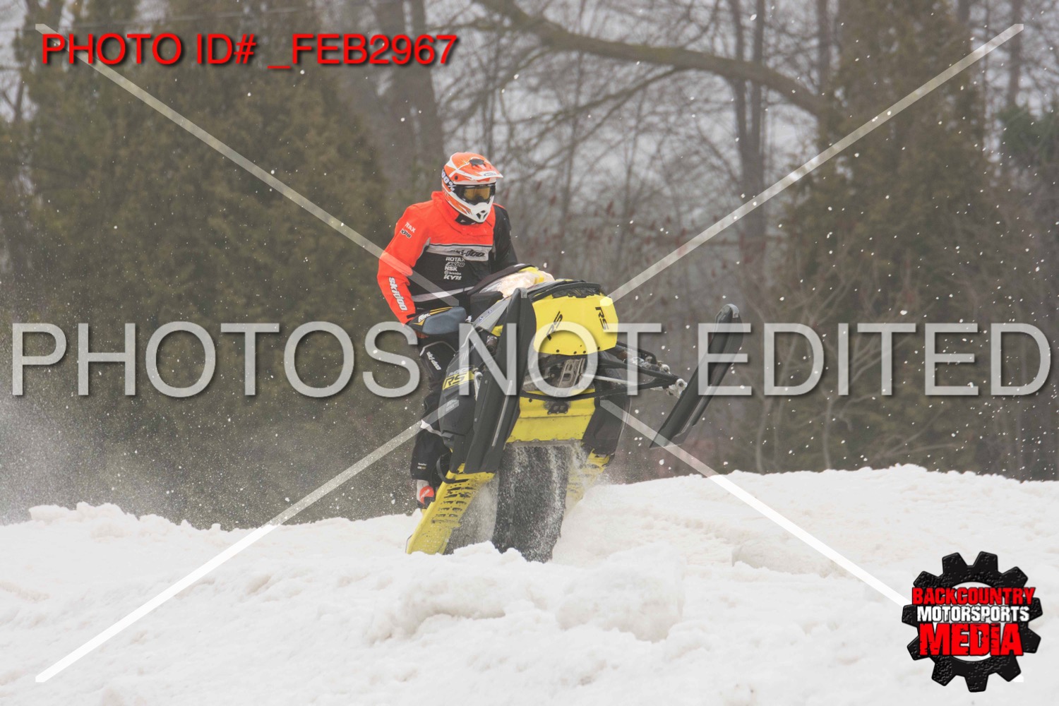 _FEB2967.jpg