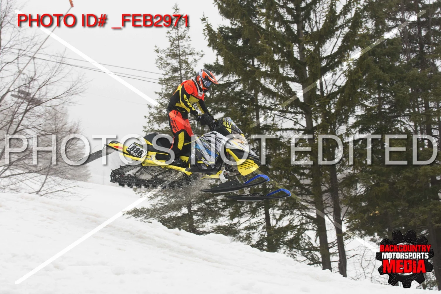 _FEB2971.jpg