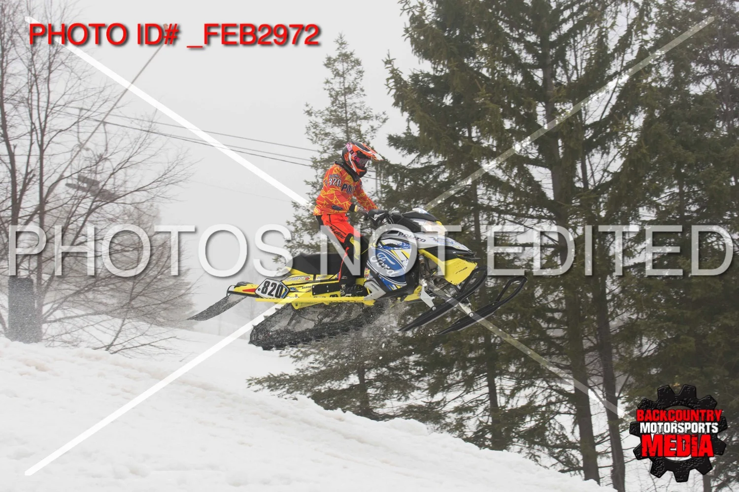 _FEB2972.jpg