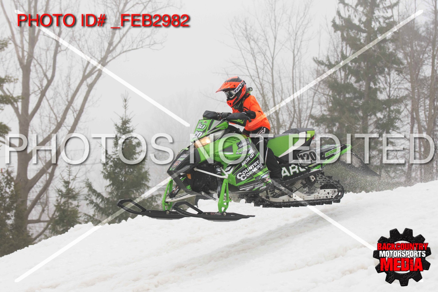 _FEB2982.jpg