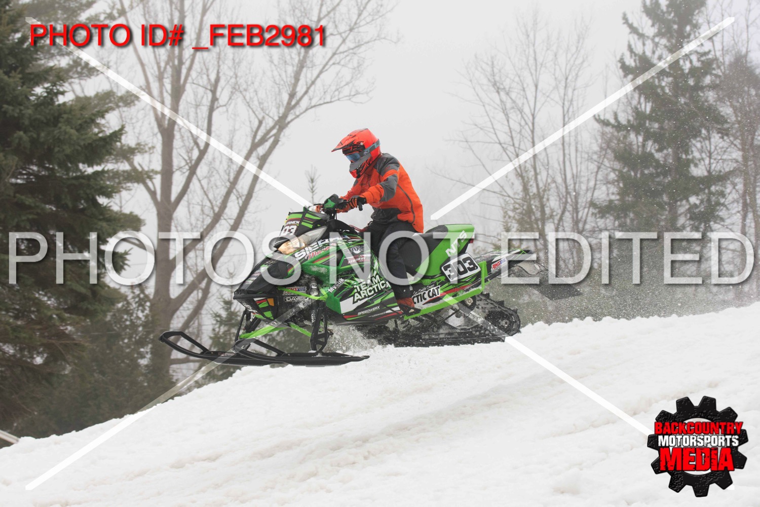 _FEB2981.jpg