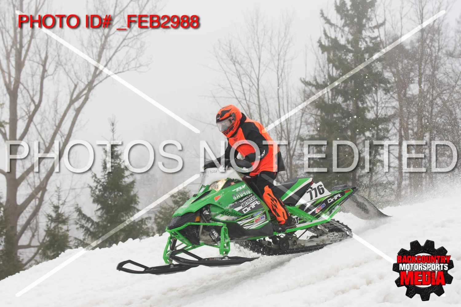 _FEB2988.jpg