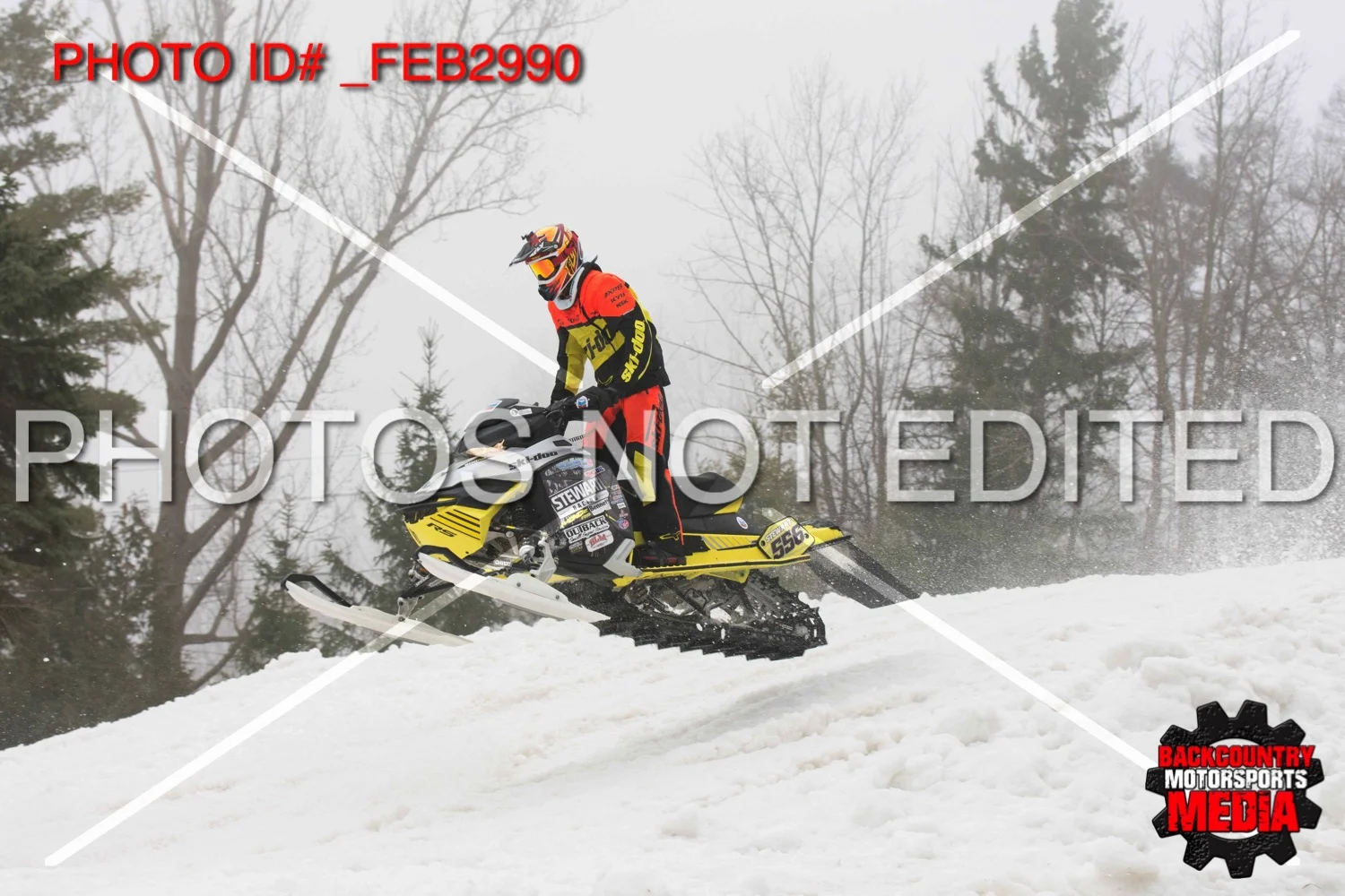 _FEB2990.jpg