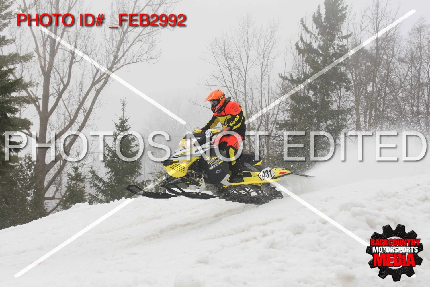 _FEB2992.jpg