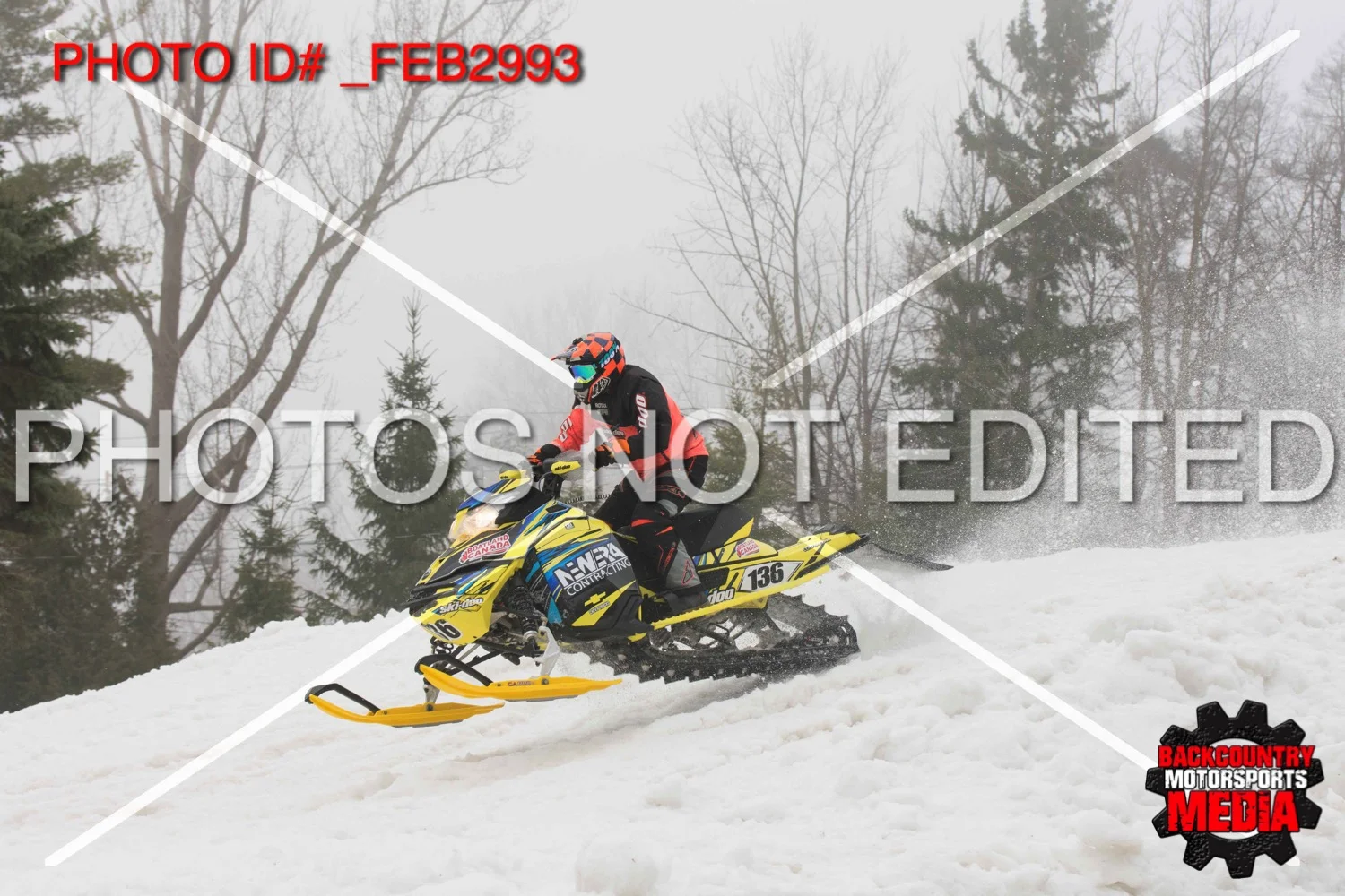 _FEB2993.jpg