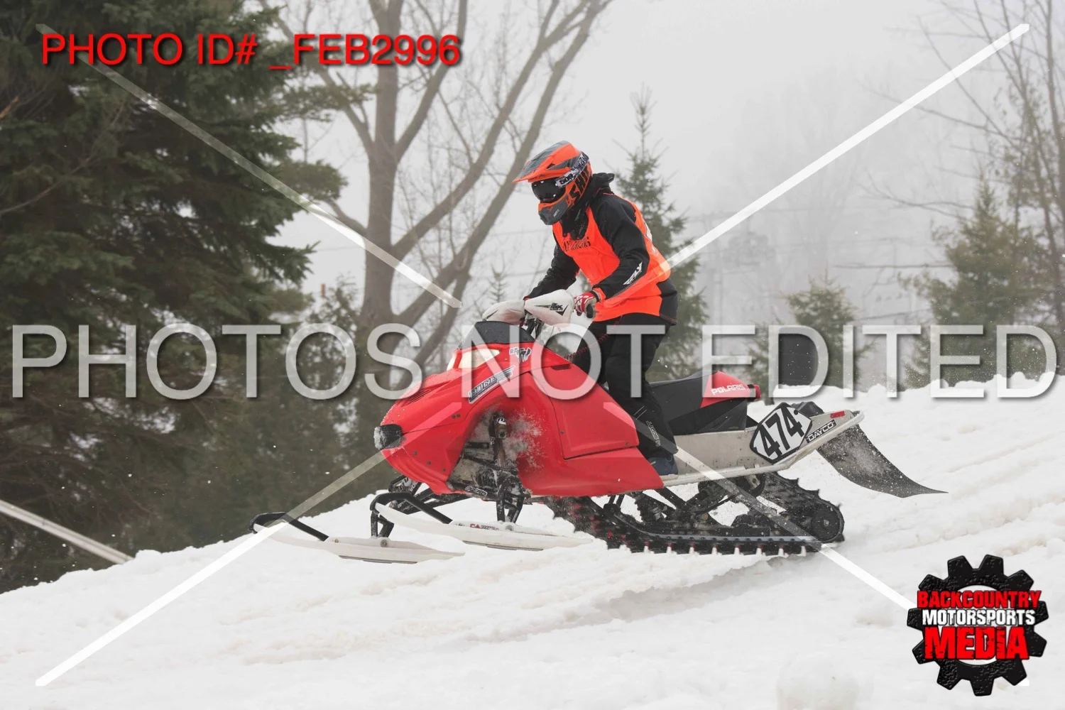 _FEB2996.jpg