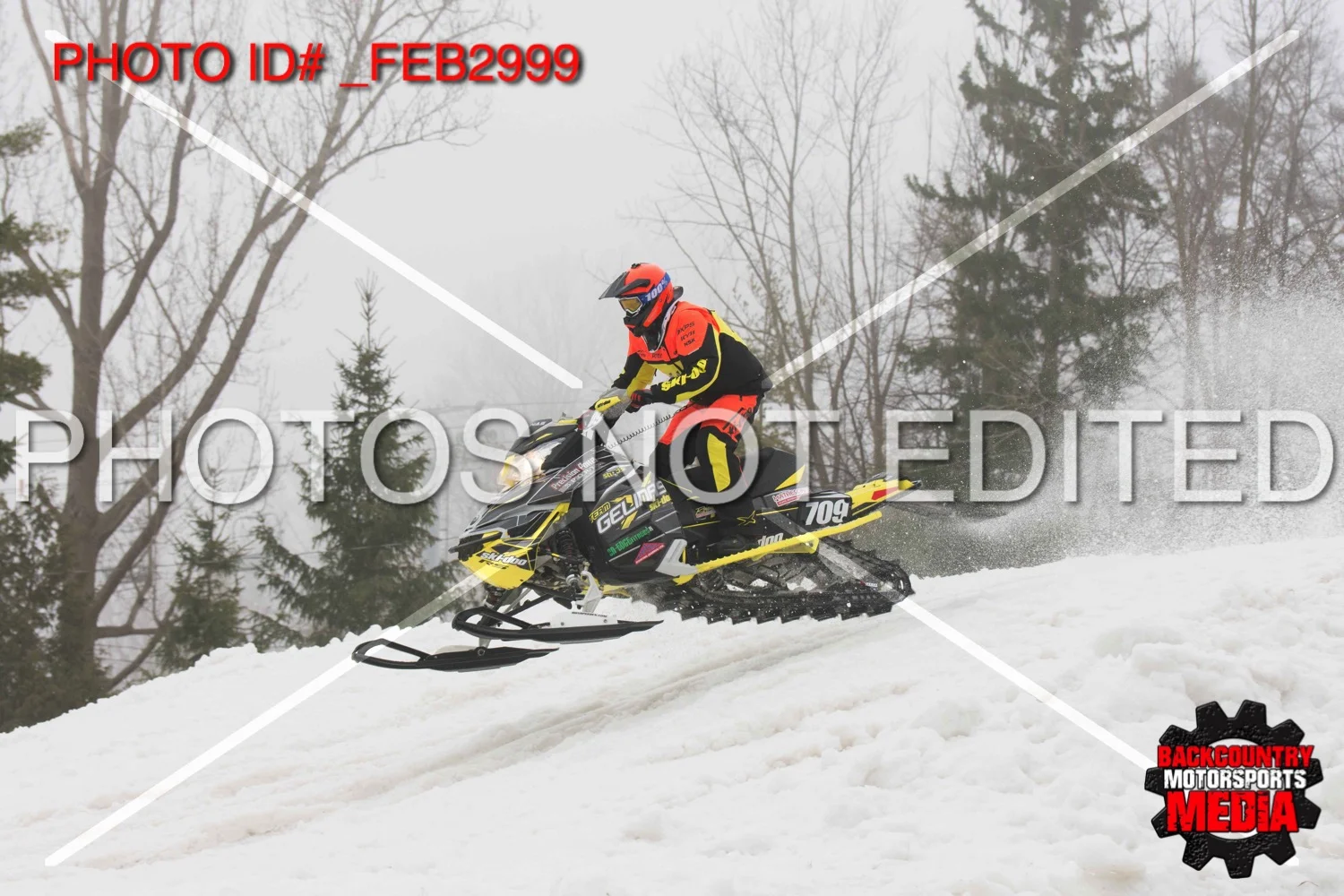 _FEB2999.jpg