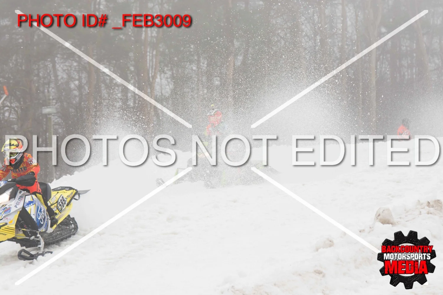 _FEB3009.jpg