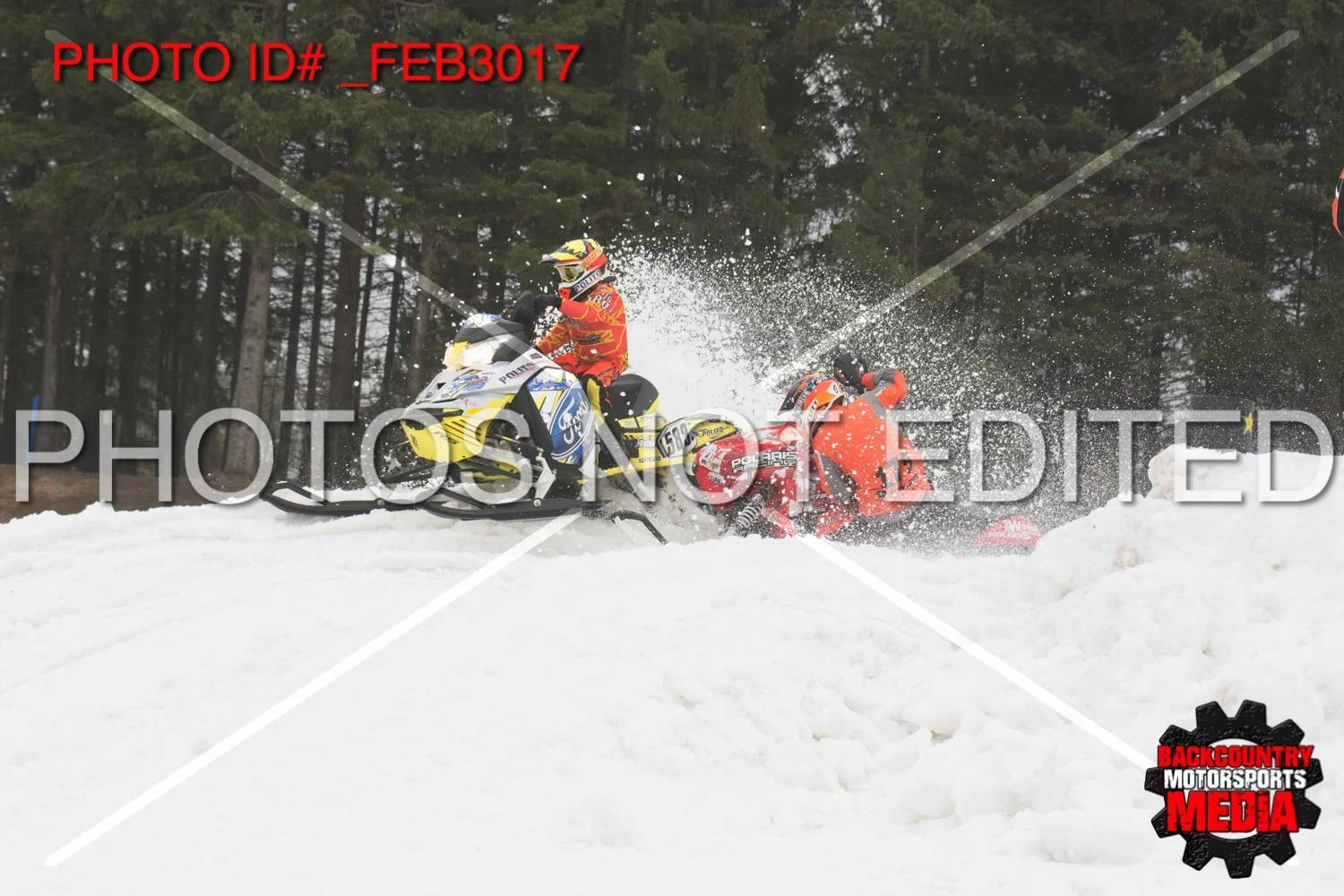 _FEB3017.jpg