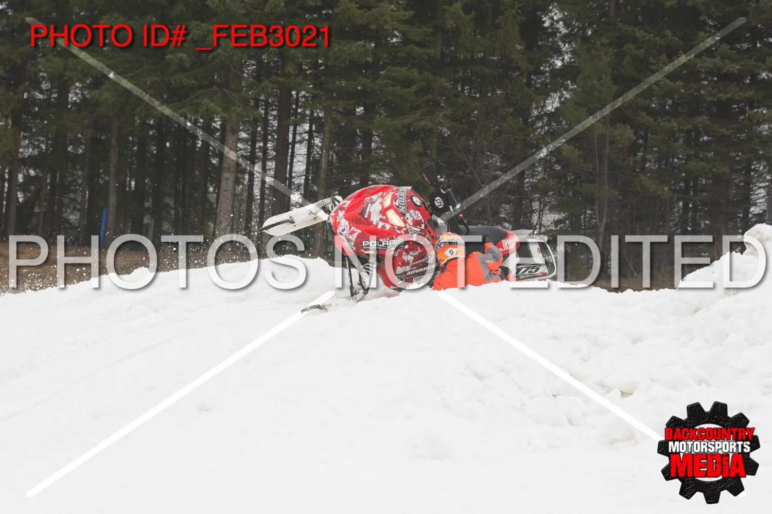_FEB3021.jpg