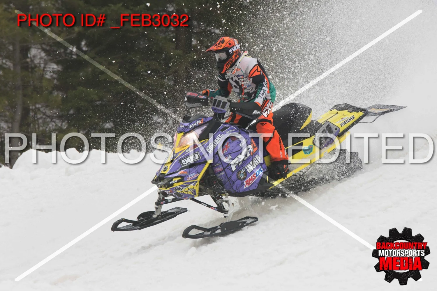 _FEB3032.jpg