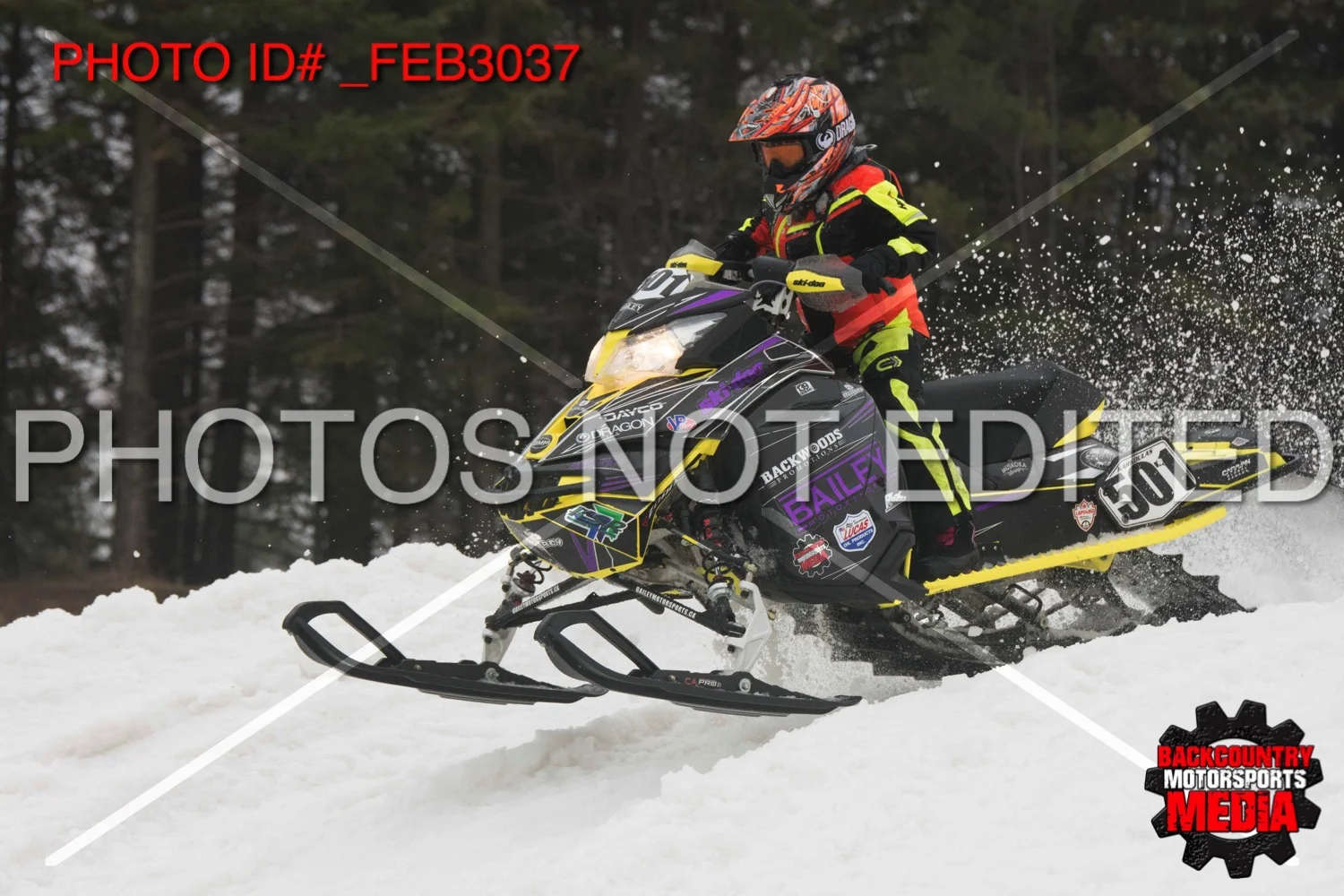 _FEB3037.jpg
