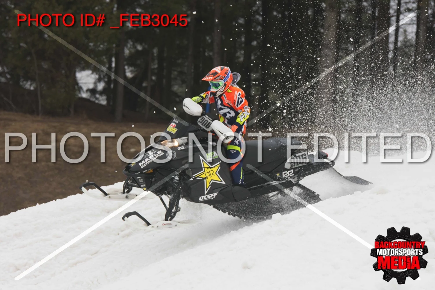 _FEB3045.jpg