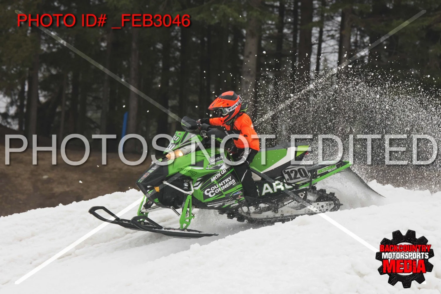 _FEB3046.jpg