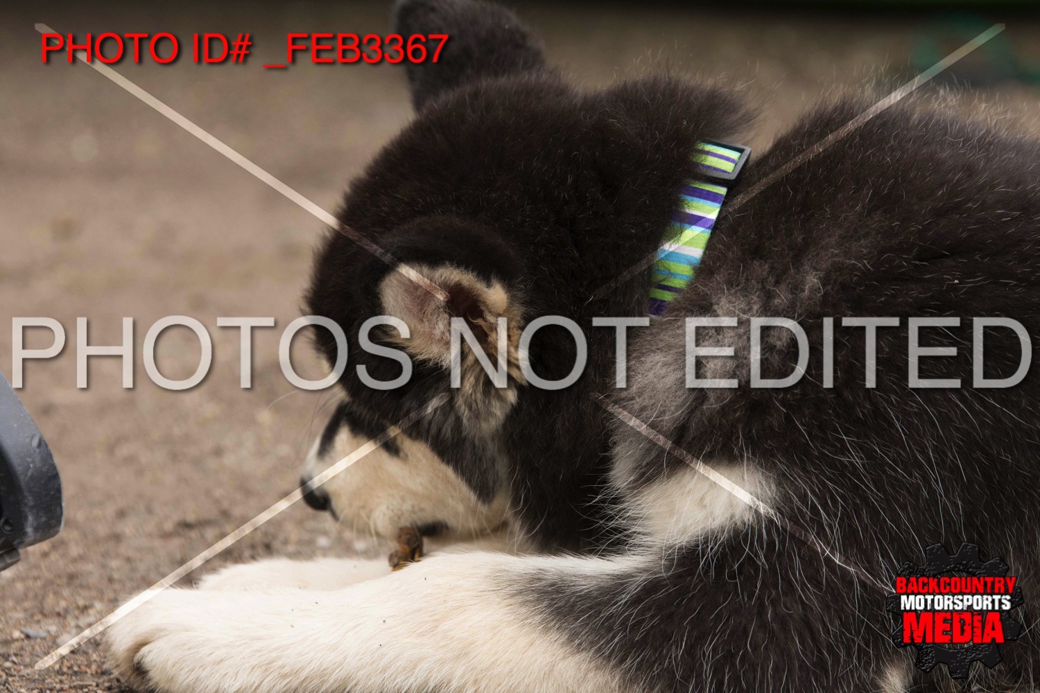 _FEB3367.jpg