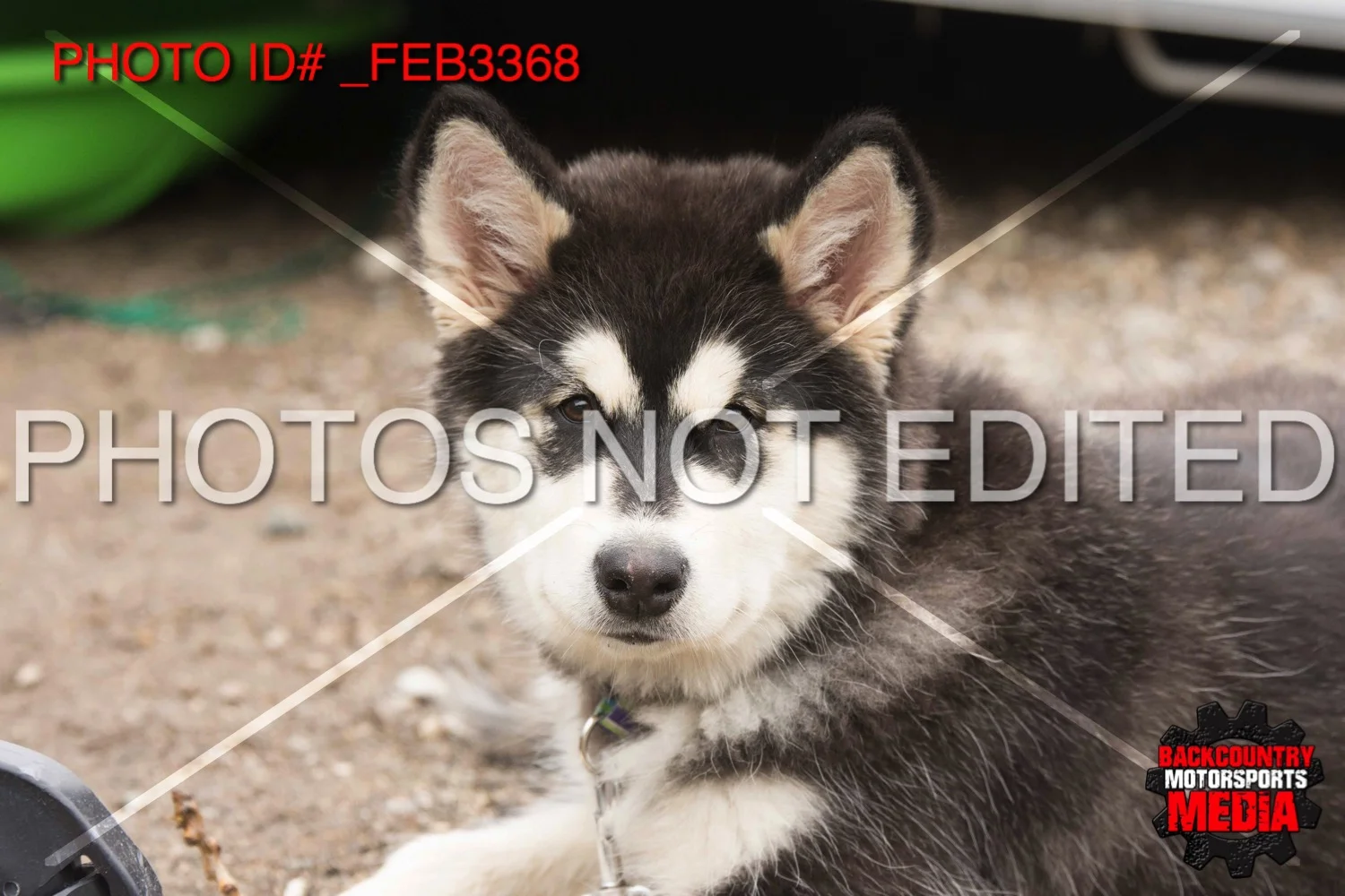 _FEB3368.jpg