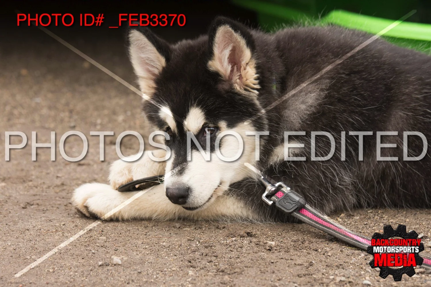 _FEB3370.jpg
