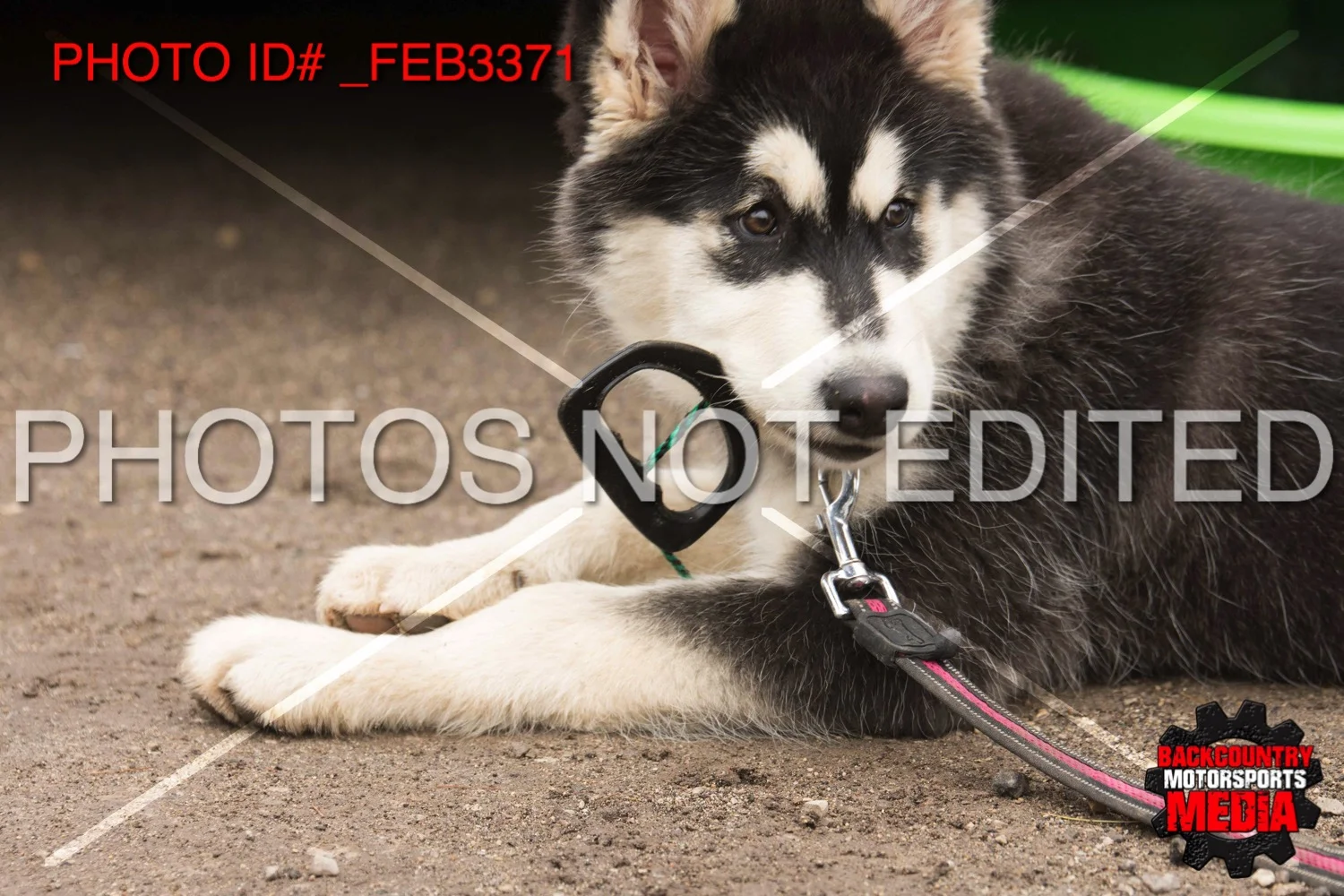 _FEB3371.jpg