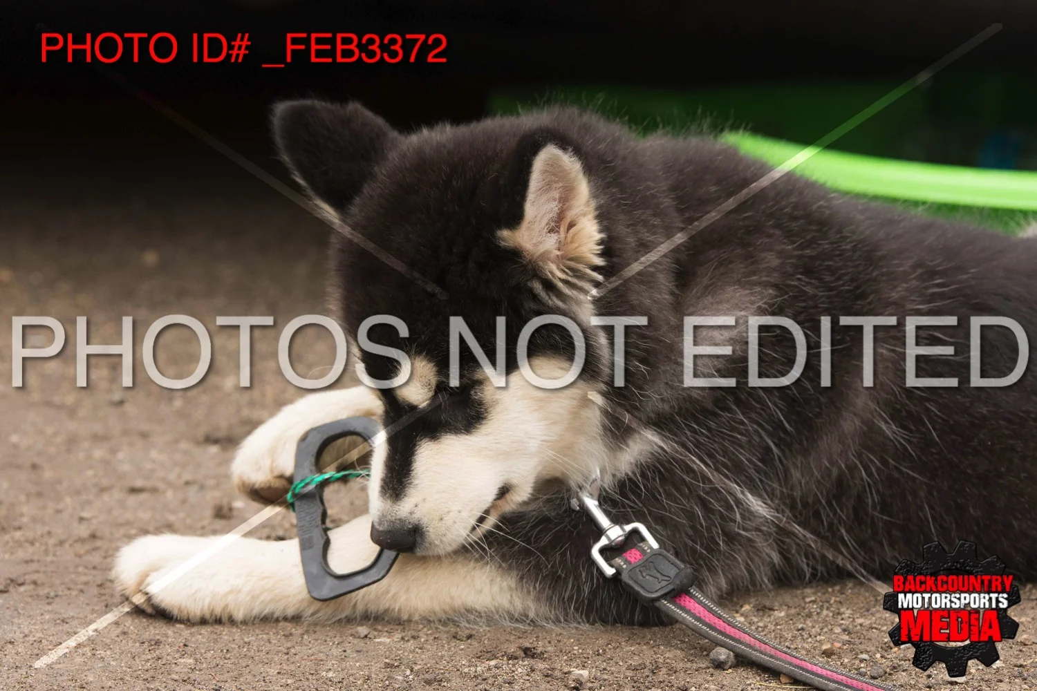 _FEB3372.jpg