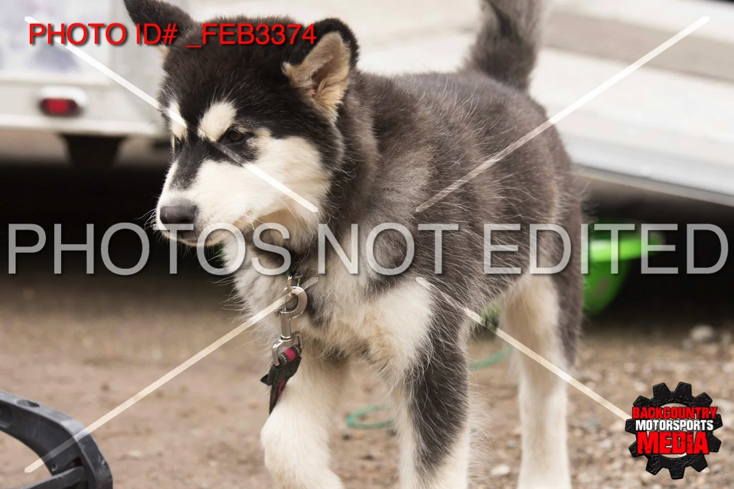 _FEB3374.jpg