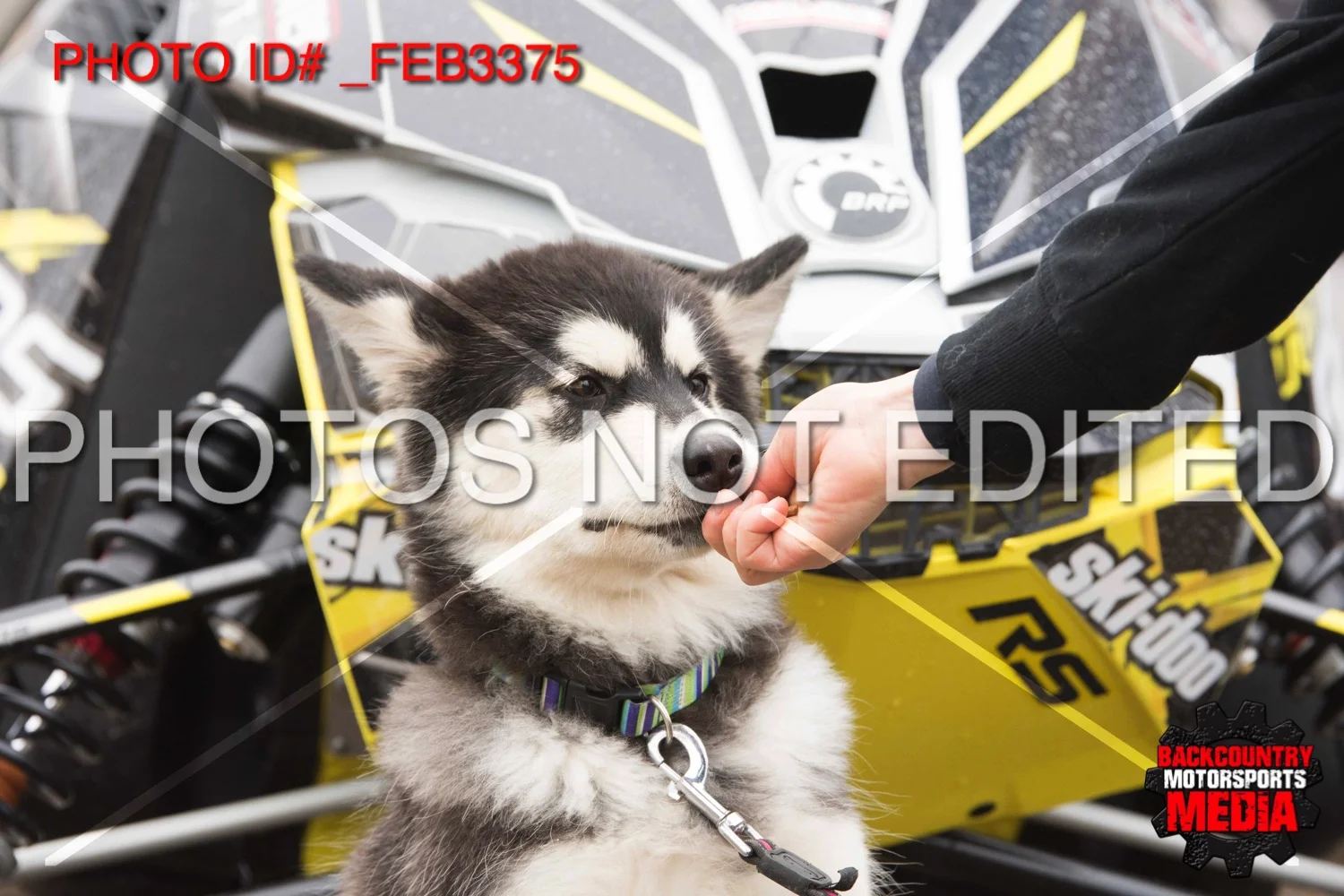 _FEB3375.jpg