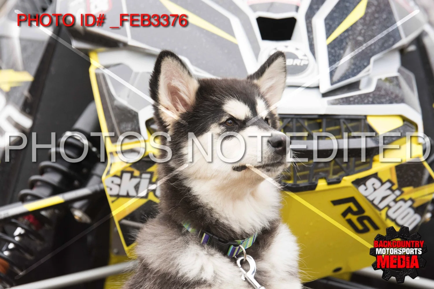 _FEB3376.jpg