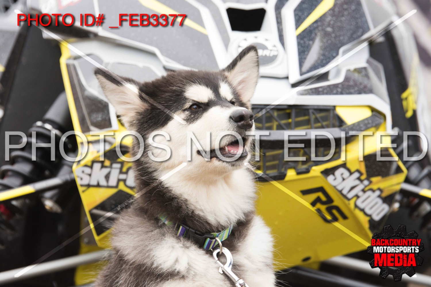 _FEB3377.jpg