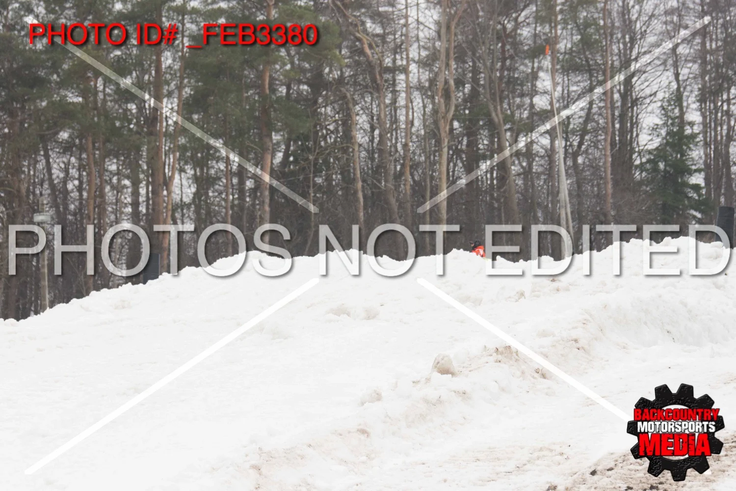 _FEB3380.jpg