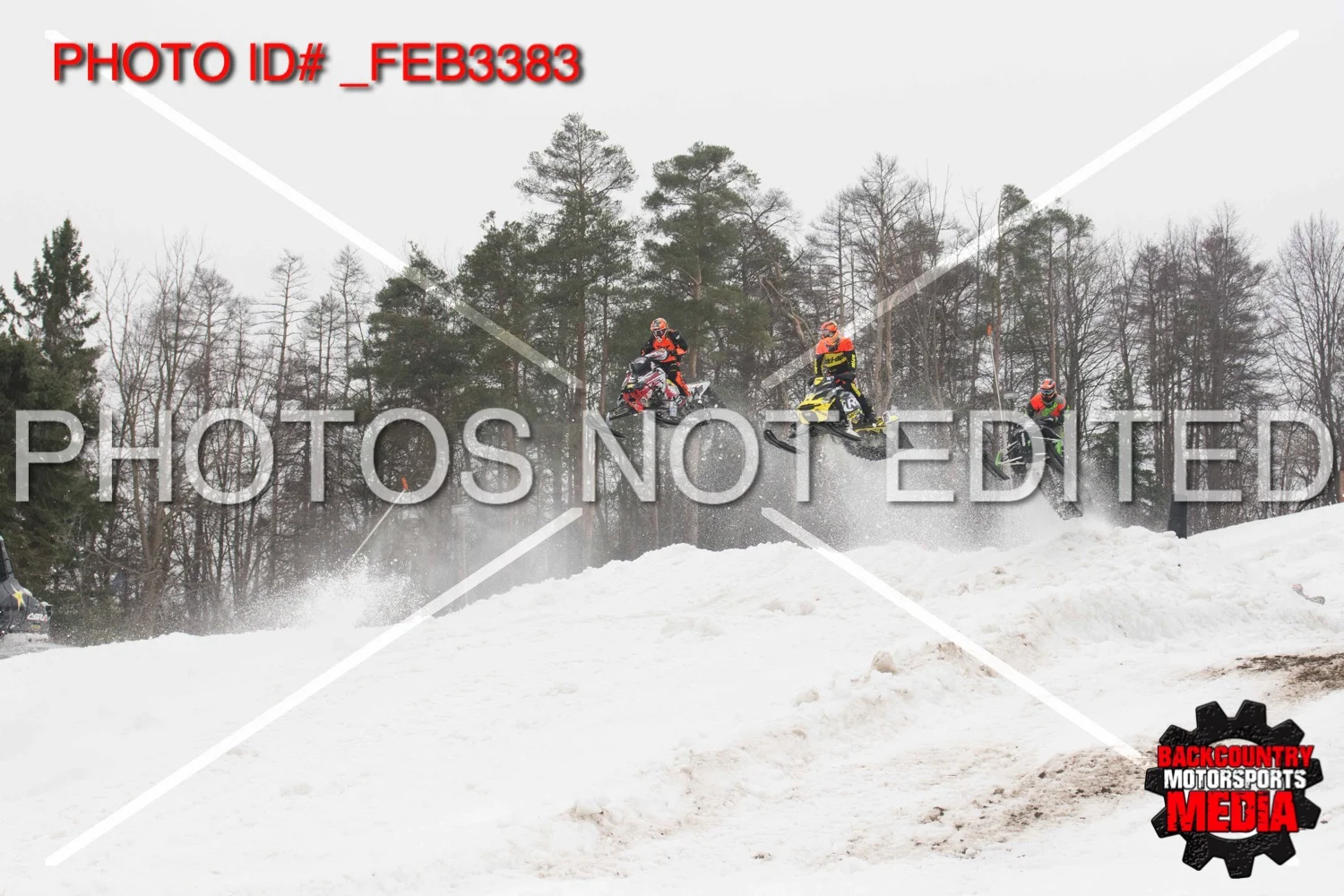 _FEB3383.jpg