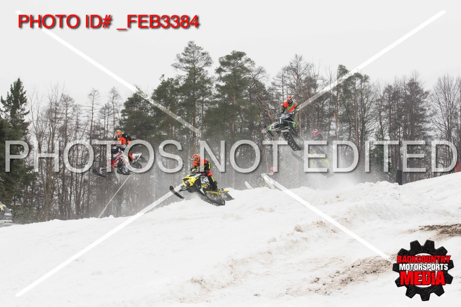 _FEB3384.jpg