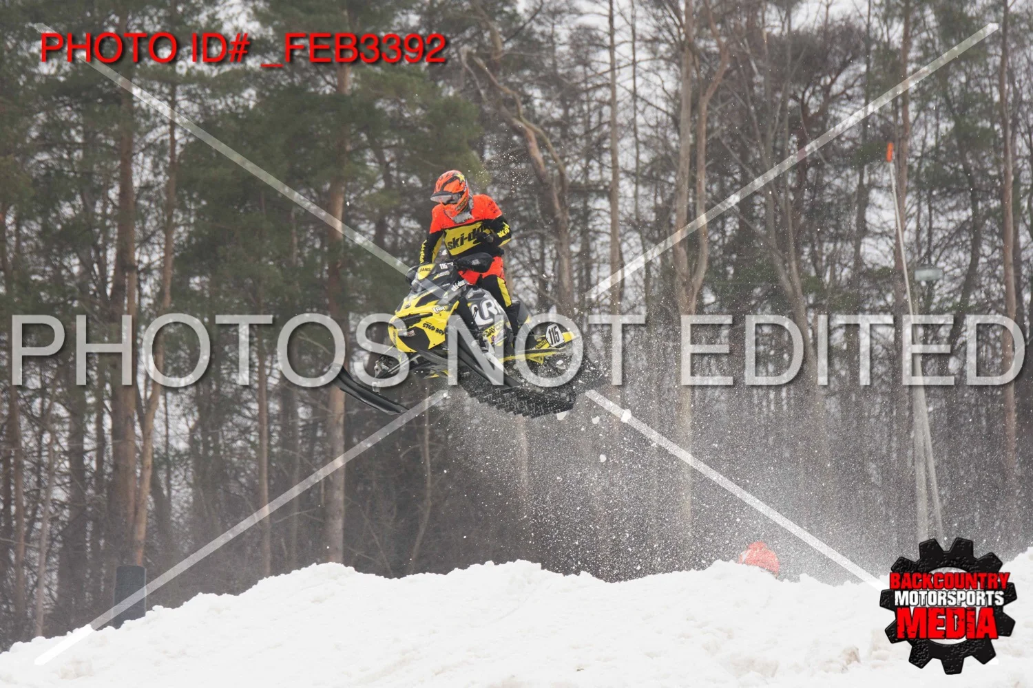 _FEB3392.jpg