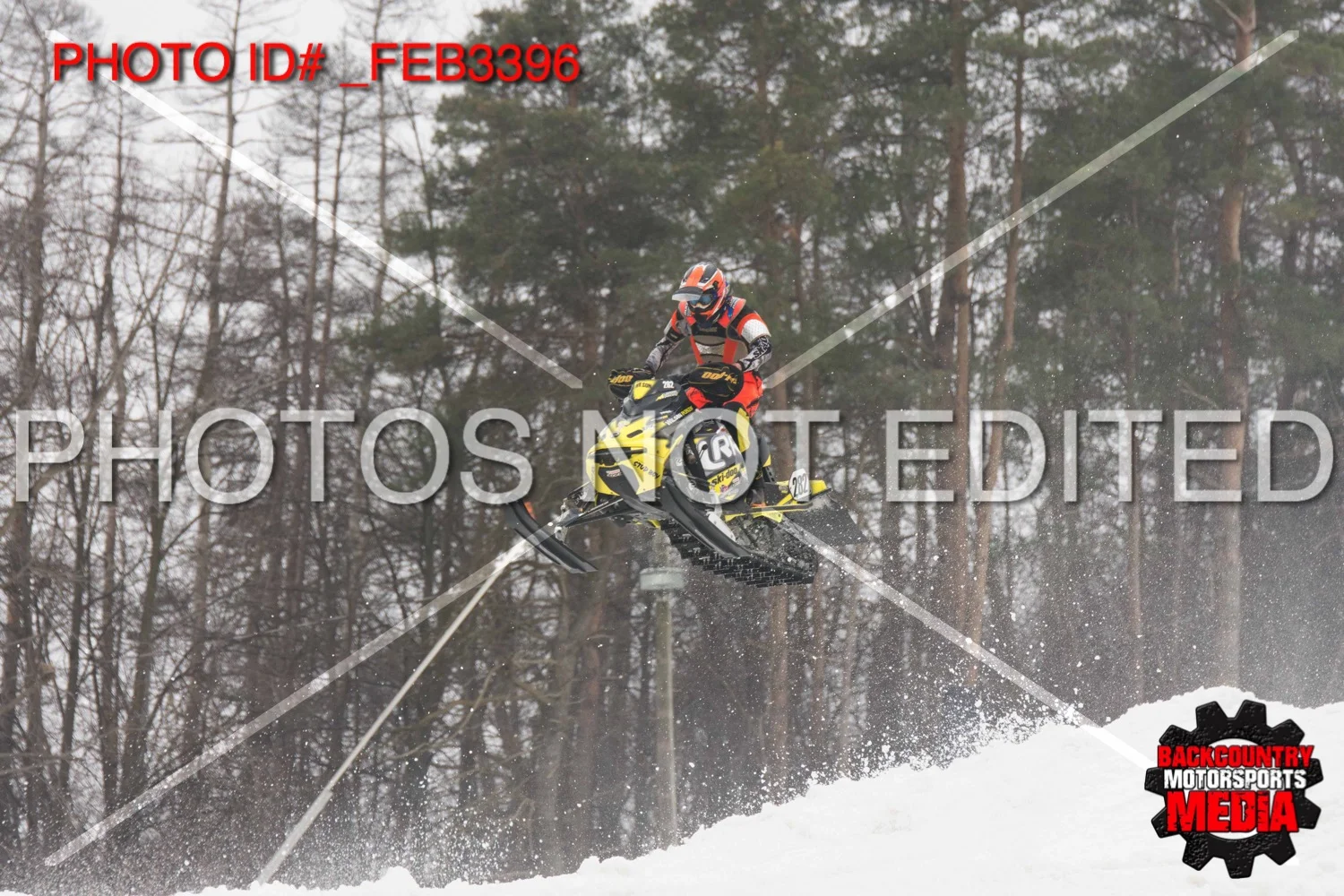 _FEB3396.jpg