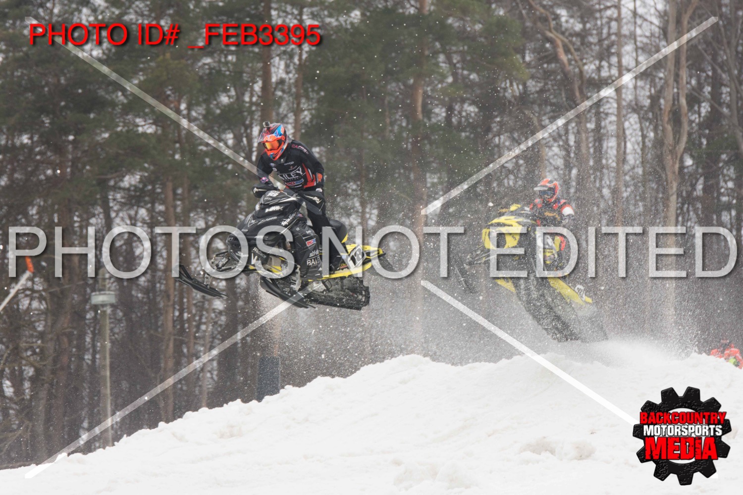 _FEB3395.jpg