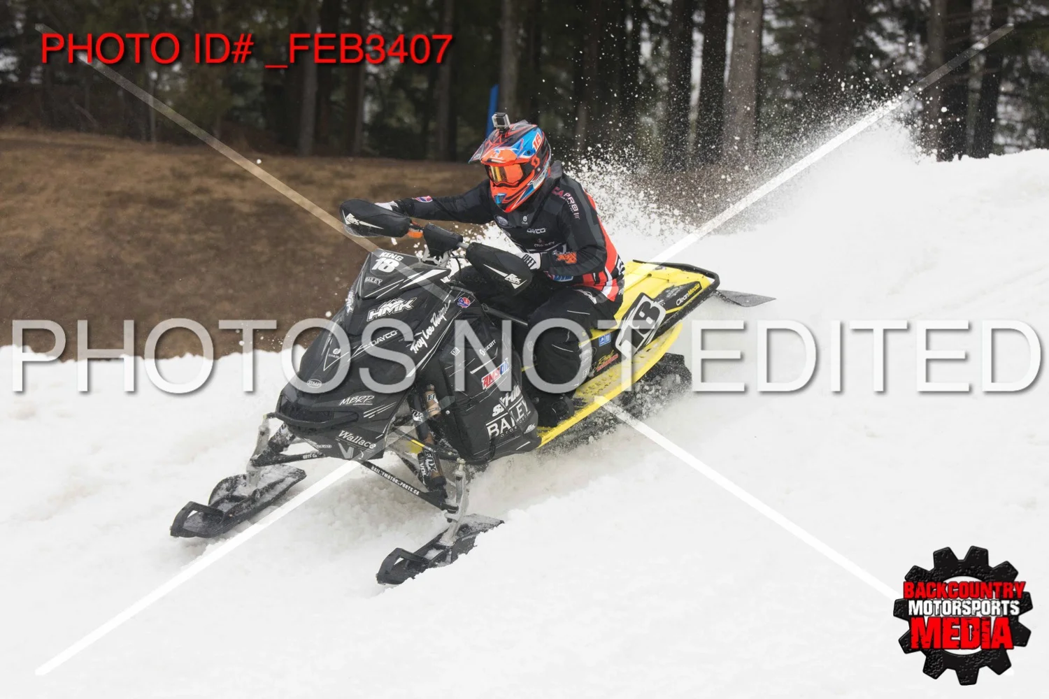_FEB3407.jpg